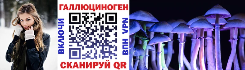 Купить закладки  Починок  Галлюциногенные грибы Psilocybine cubensis 