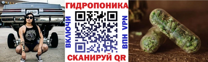 Купить закладки  Починок  Бошки марихуана White Widow 